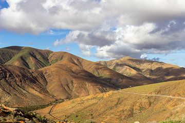 Vulkaanlandschap met verschillend gekleurde bergen op het eiland Fuerteventura van Reiner Conrad
