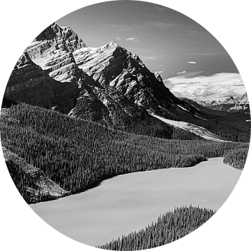 Peyto Lake in Zwart-Wit