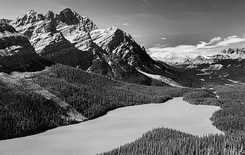 Peyto Lake in Black and White