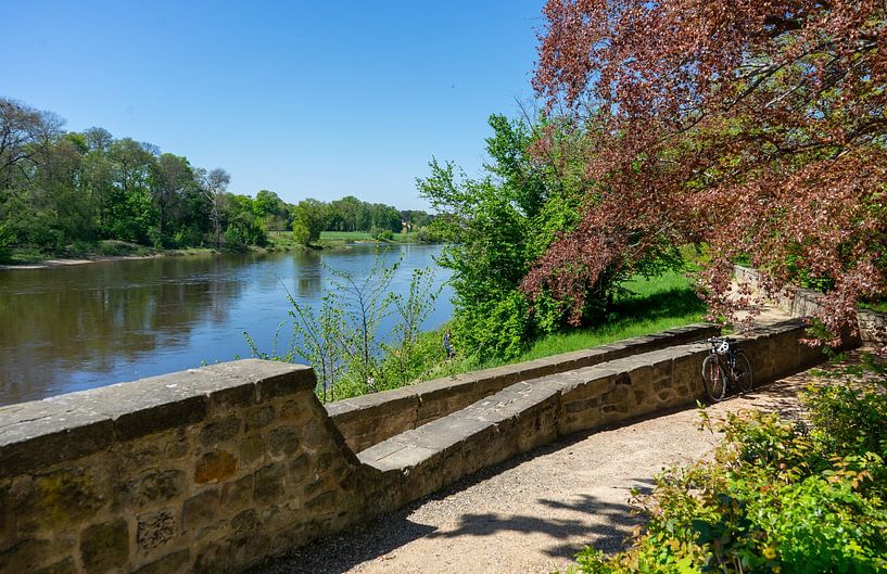 Se détendre sur les rives de l'Elbe en Saxe, près de Dresde, au printemps the par Animaflora PicsStock