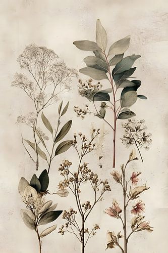Vintage Botanical Study