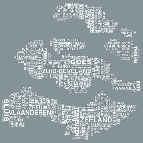 Typographie zélandaise