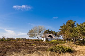 Vacation home between Vitte and Neuendorf on the island of Hiddensee by Rico Ködder
