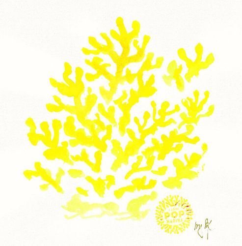 I LOVE POP MARINA - Corallo giallo su bianco