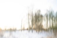 Een abstract landschap in de sneeuw - 19 van Danny Budts thumbnail