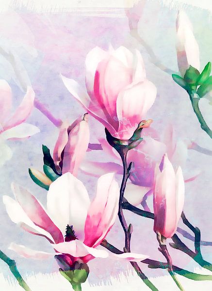 Magnolia's van FRESH Fine Art