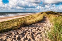 Zandpad over het zeeduin