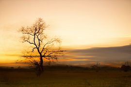 last minutes light by Detty Verbon