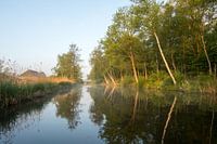 Weerribben NP