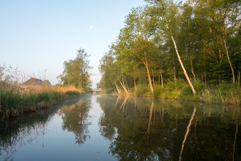 Weerribben NP by Karen Klein