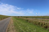 Blauwe lucht boven het groene eiland Pellworm