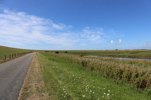 Blauwe lucht boven het groene eiland Pellworm