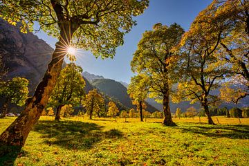 Gouden herfst in de Karwendel ? hier bij "Großer Ahornboden" van Einhorn Fotografie