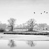 The Vreugderijkerwaard in SW by Erik Veldkamp