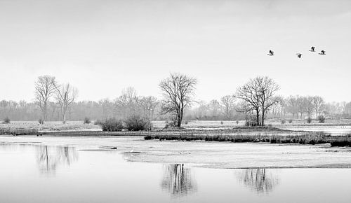 The Vreugderijkerwaard in SW