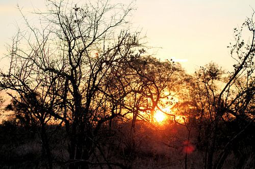 Warmer Sonnenuntergang