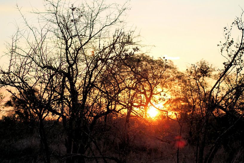 Warm Sunset by Melanie & Wiebe Hofstra