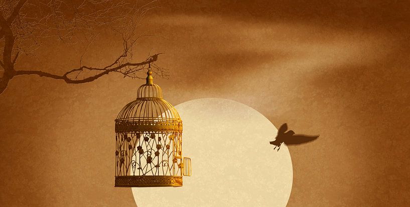 The escape from the golden cage by Monika Jüngling