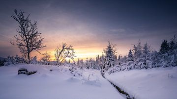 Winterdroom Harz van Steffen Henze