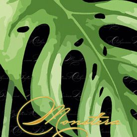 Mostera auf Schwarz Gold Text Triptychon 1 v. 3 von AidasignArt