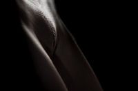 Künstlerischer Akt einer Vagina in Low Key Farbe
