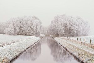 Symmetrie op het kanaal van Truus Nijland