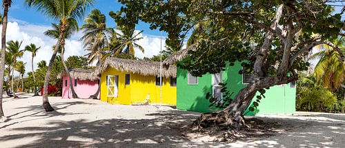 Isla Catalina