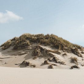 Southern Dune by Renzo Steffens