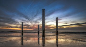 Palendorp Petten van Mario Calma