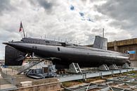 Flore onderzeeer Lorient par Dennis van de Water Aperçu