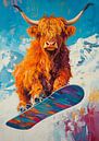 Scottish Highland cattle by Niklas Maximilian thumbnail