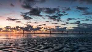 Colors of the sea