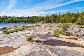Ostseeküste mit Felsen und Bäumen auf der Insel Sladö in Schw