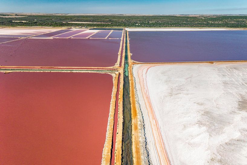farbenfrohe Hutt Lagoon in Westaustralien von Heiko Meier