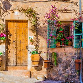 Idyllisch uitzicht op typisch huis in Valldemossa dorp op Mallorca van Alex Winter