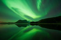 Norway light