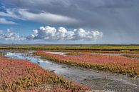bloeiende Queller aan de Noordzee, Noord-Friesland, Duitsland van Peter Eckert thumbnail
