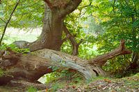 Séparation au niveau du cours d'eau