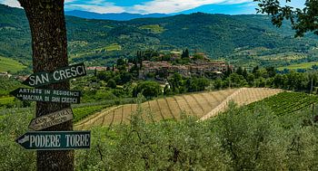 San Cresci area of Tuscany, Italy