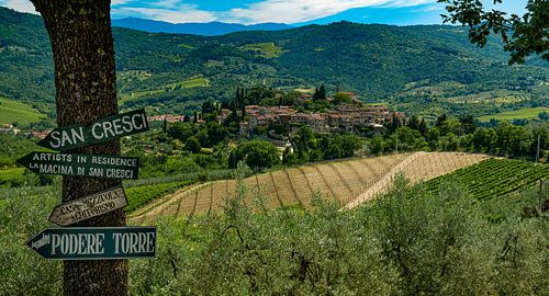 San Cresci area of Tuscany, Italy