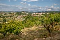 Fruitbomen op agriturismo in Costa Vescovato, Piemont, Italie van Joost Adriaanse thumbnail