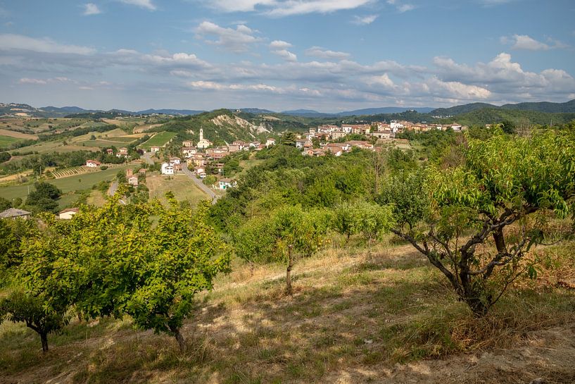 Fruitbomen op agriturismo in Costa Vescovato, Piemont, Italie van Joost Adriaanse