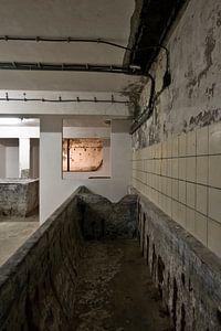 Foto im Keller einer alten Molkerei.