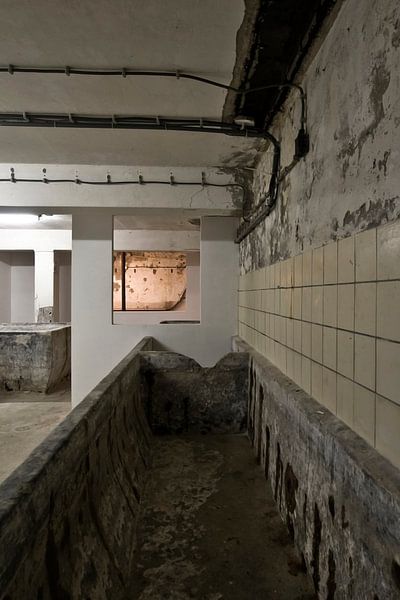 Photo in the basement of an old dairy. by Therese Brals