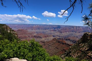 Die  Schönheit Der Natur - Grand Canyon View von Christiane Schulze