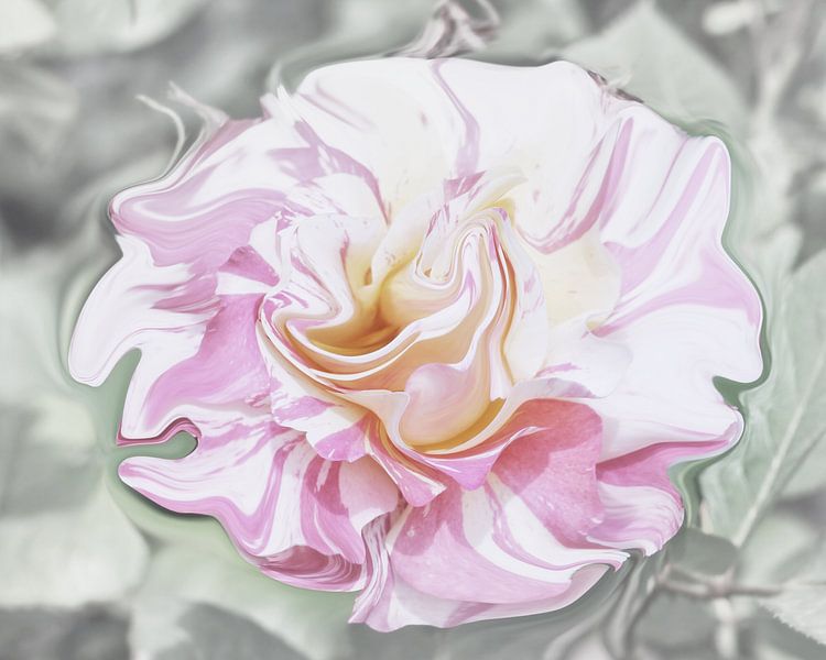 Pastel Rose van Yvonne Blokland