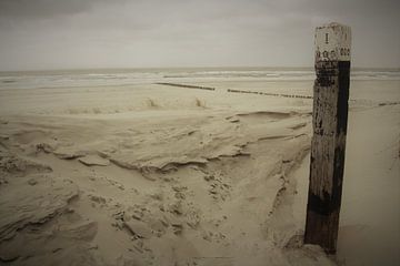 Promenade sur la plage sur Wim Riksen