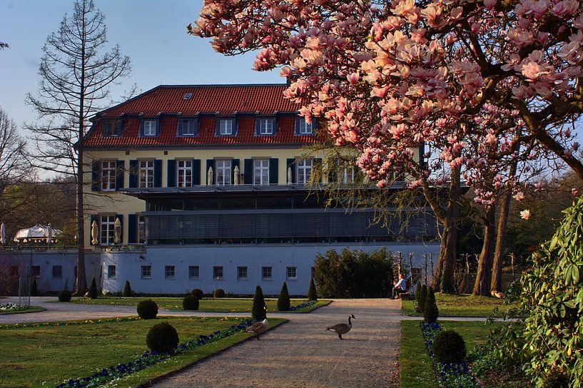 Kasteel met Magnolia Bloesems van Edgar Schermaul