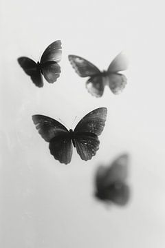Dance Of The Butterflies No 2 (Danse des papillons) sur Treechild
