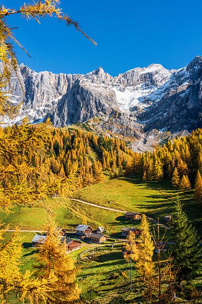 Idyllische Almen aan de voet van de Dachstein van Coen Weesjes